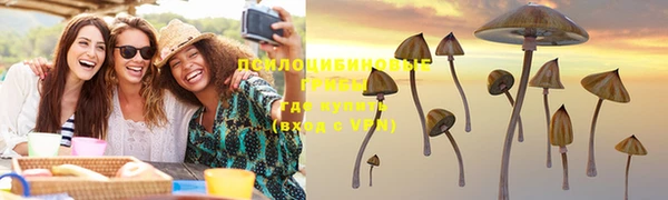 молекула духа Белоозёрский