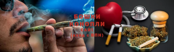 молекула духа Белоозёрский