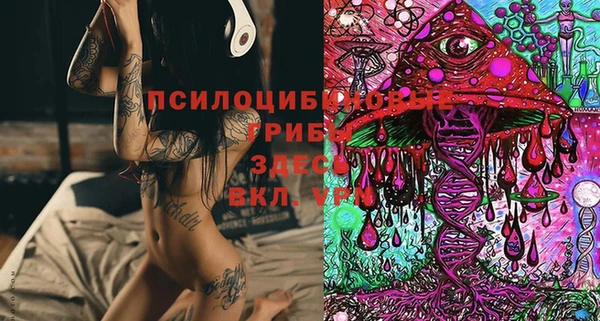молекула духа Белоозёрский