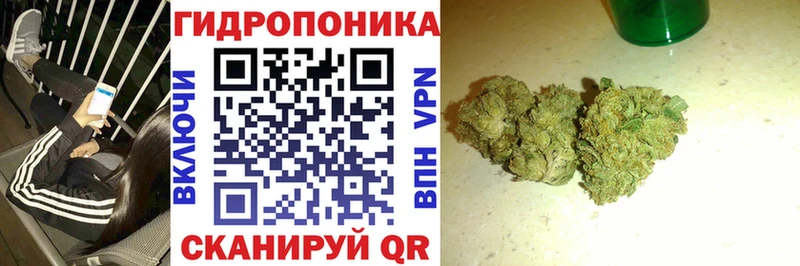 купить наркотик  Щигры  Бошки марихуана MAZAR 